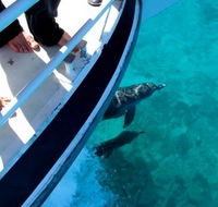 Pelican Charters - Taree Accommodation