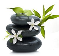 Tea House Spa Sauna - Taree Accommodation