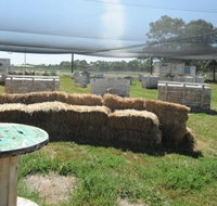 We Are Paintball - Taree Accommodation