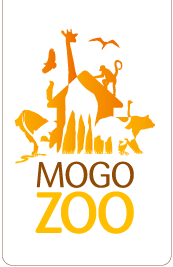 Mogo Zoo - Taree Accommodation 0
