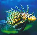Underwater World - Taree Accommodation
