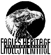 Eagles Heritage - Taree Accommodation