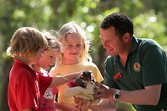  Taree Accommodation