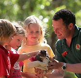 Cleland Wildlife Park - Taree Accommodation