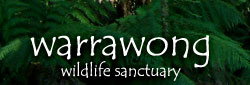 Taree Accommodation