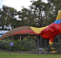 Gumbuya Park - Taree Accommodation