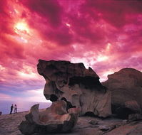 Kangaroo Island Adventure Tour 2 day/1 night - Taree Accommodation