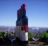 Mount Tamborine Winery  Homestead - Taree Accommodation