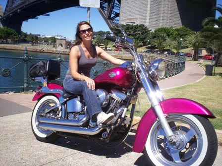 A Wild Ride - Taree Accommodation 2