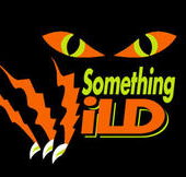 Something Wild - Taree Accommodation