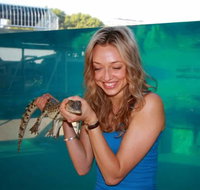 Crocosaurus Cove - Taree Accommodation