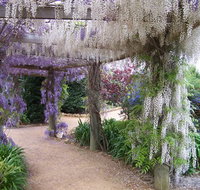 Abingdon Miniature Village - Taree Accommodation