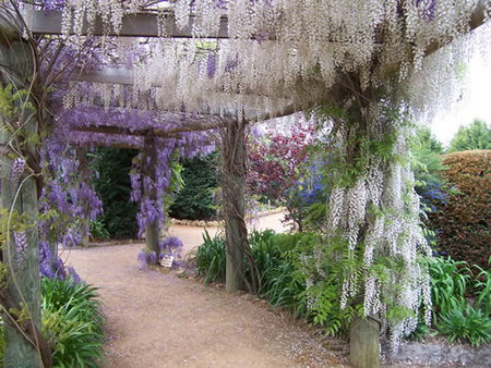 Abingdon Miniature Village - Taree Accommodation 0