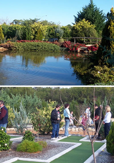 Abingdon Miniature Village - Taree Accommodation 2