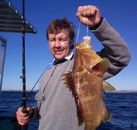 Downunder Charters - Taree Accommodation