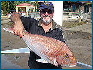 Odyssey Charters - Taree Accommodation 1