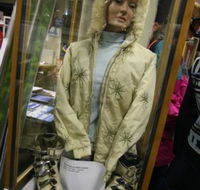 Alpine Museum - Taree Accommodation