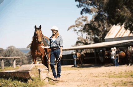 Watsons Trail Rides - Taree Accommodation