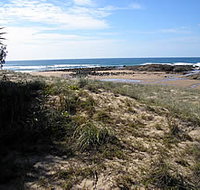 Deepwater National Park - Taree Accommodation
