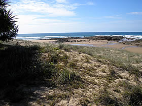 Deepwater National Park - Taree Accommodation 0