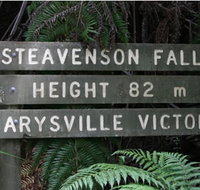 Stevensons Falls - Taree Accommodation