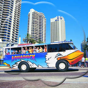 Aquaduck - Taree Accommodation 2