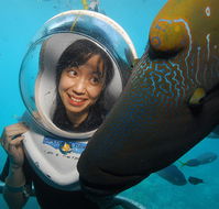 Sunlover Reef Cruises - Taree Accommodation