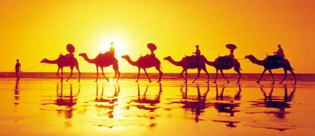 Banksia Adventures - Taree Accommodation 1