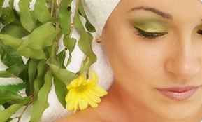 Indica Spa - Taree Accommodation 1