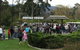 Caribbean Gardens - thumb 1