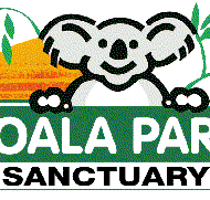 Koala Park Sanctuary - Taree Accommodation