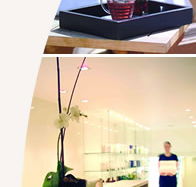 Lyall Hotel and Spa - Taree Accommodation