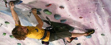 Urban Climb - Taree Accommodation 0