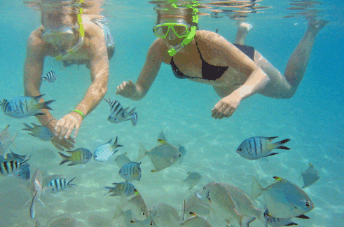 Australian Kayaking Adventures - Taree Accommodation 2