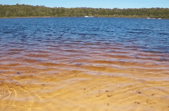 Beach Trekkers North Stradbroke Island - Taree Accommodation 1
