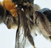 Western Australian Museum - Taree Accommodation