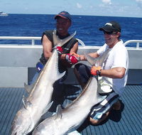 Blue Juice Charters - Taree Accommodation