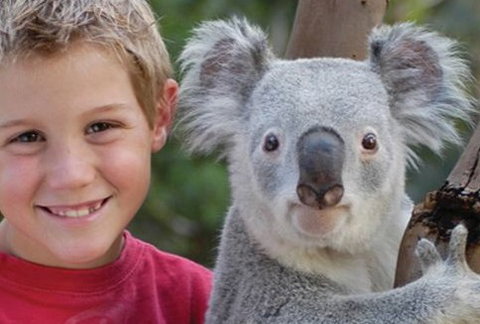 Featherdale Wildlife Park - Taree Accommodation 1