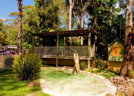 Featherdale Wildlife Park - Taree Accommodation 2
