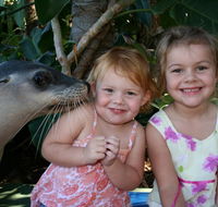 Dolphin Marine Magic - Taree Accommodation