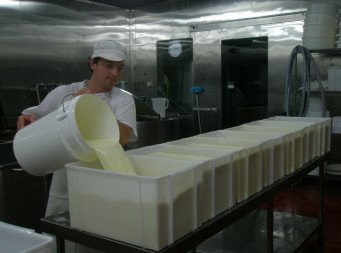 Witches Chase Cheese Co - Taree Accommodation 1