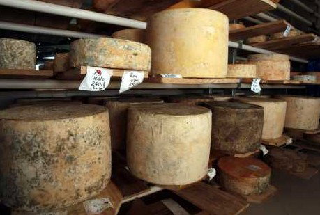 Witches Chase Cheese Co - Taree Accommodation 3