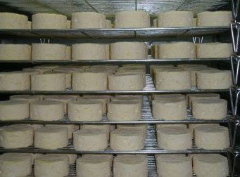 Witches Chase Cheese Co - Taree Accommodation 5