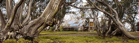High Country Scenic Tours - Taree Accommodation 0
