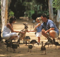 Billabong Sanctuary - Taree Accommodation