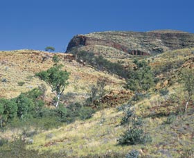 Mount Newman - Taree Accommodation 0
