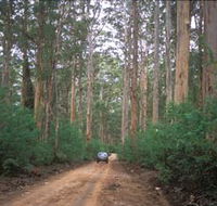 Boranup Drive - Taree Accommodation