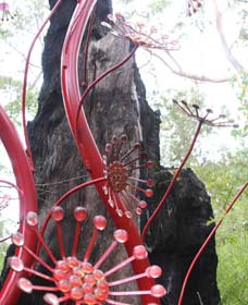 Meerup WA Taree Accommodation
