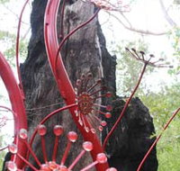 Understory Art In Nature - Taree Accommodation