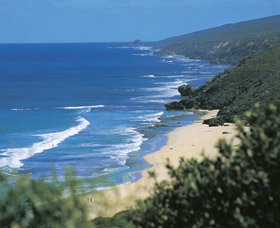 Yallingup Beach - Taree Accommodation 0